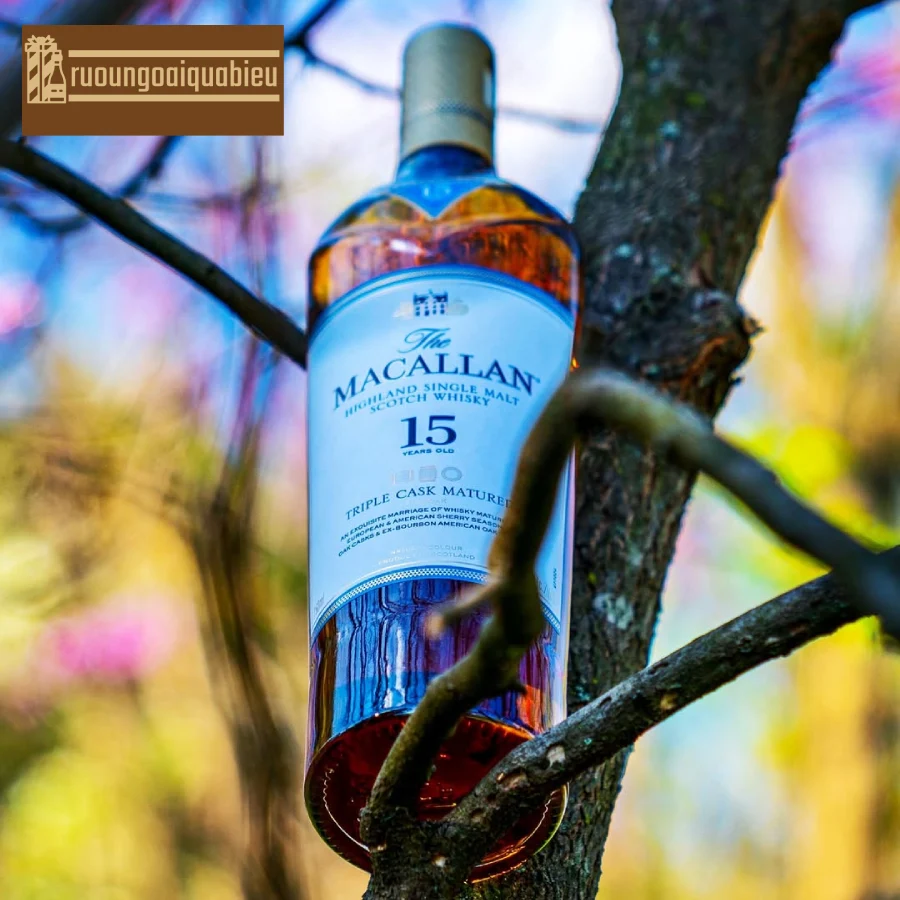 Quy trình sản xuất rượu Macallan 15 xách tay